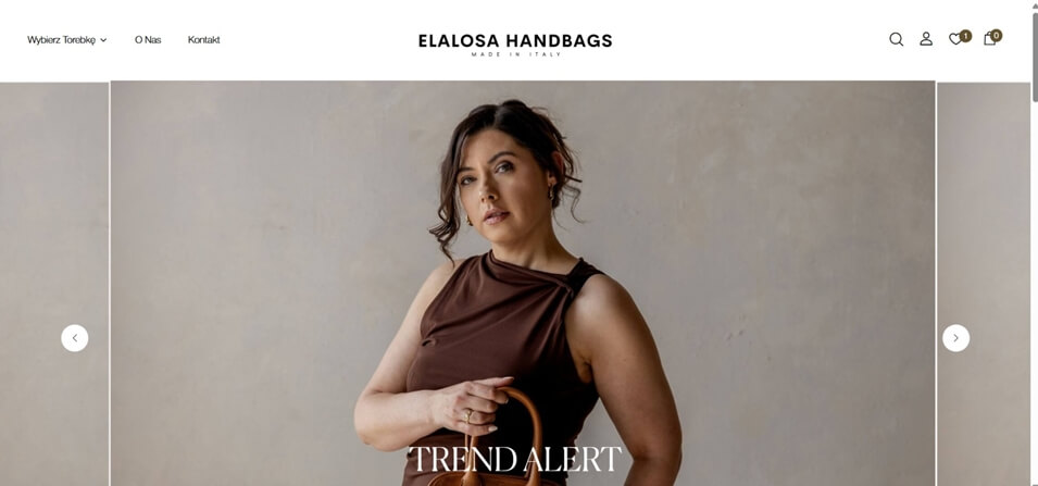 Projekt strony internetowej Elalosa
